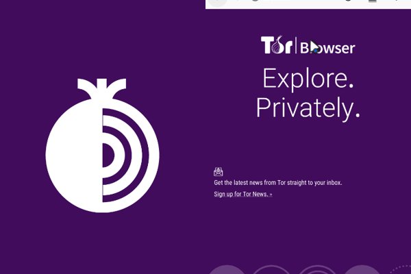 Зеркало на kraken онион