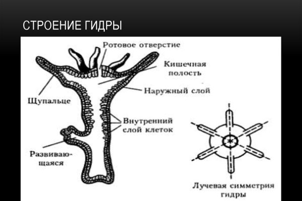 Кракен тор kr2web in