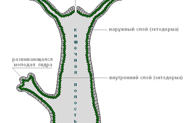 Кракен маркетплейс вход