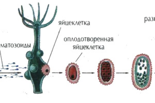 Кракен как войти