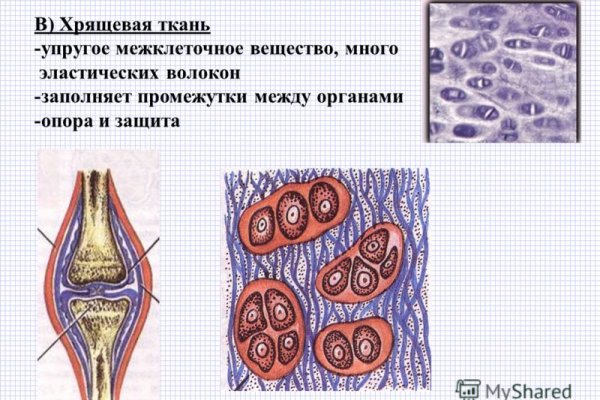 Кракен ссылка 25