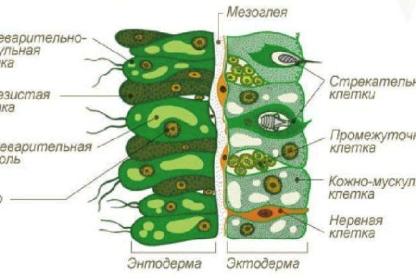 Кракен сайт это